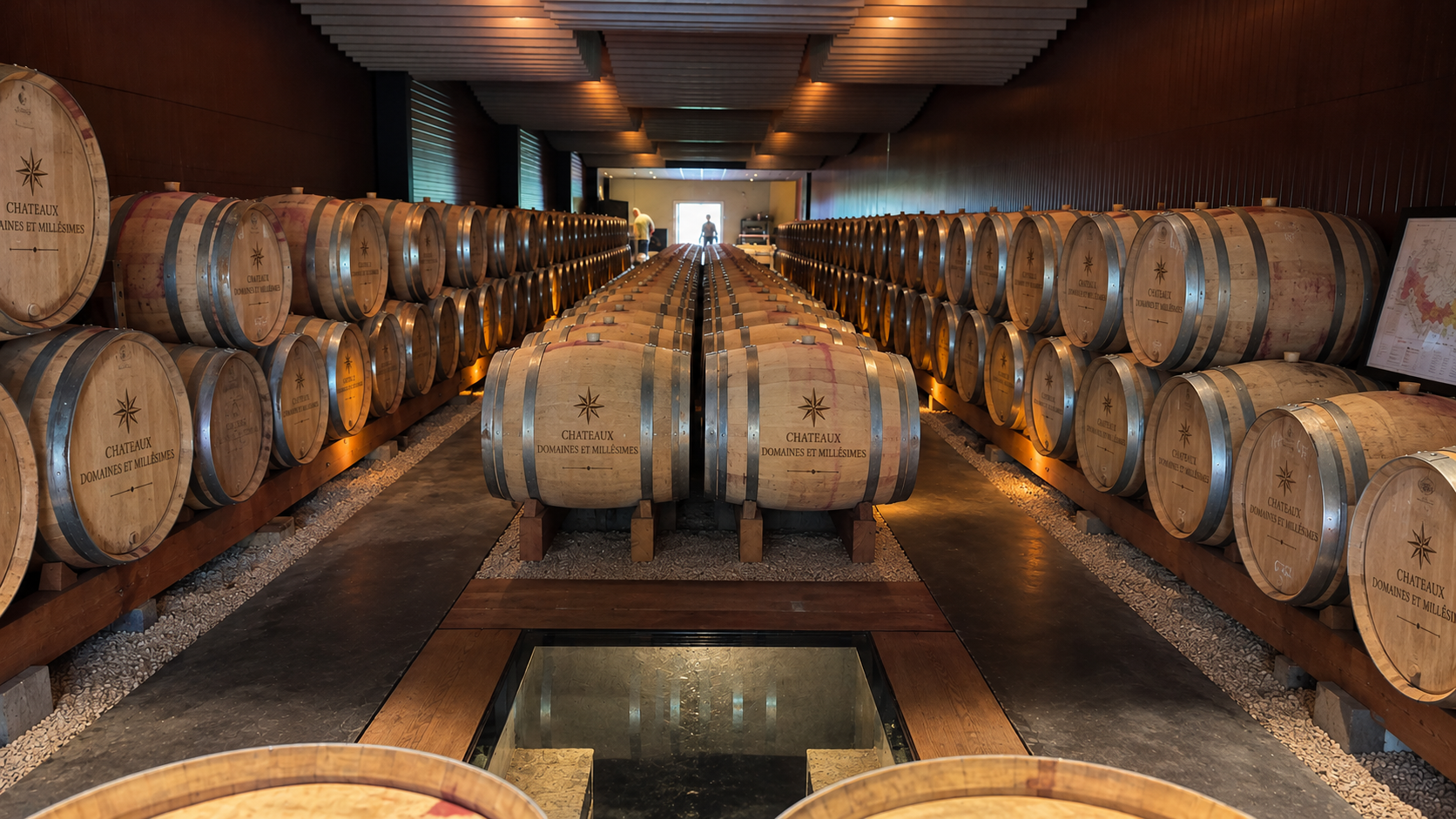 Cellar master examining vintage development in an oak barrel aging cellar